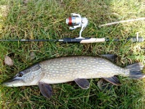 IMG_20171225_130828