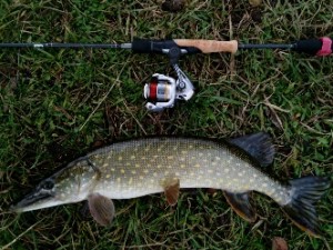 IMG_20171228_115650